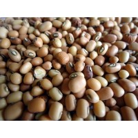 Shirali Bagado(Brown Cow Peas)-250gms